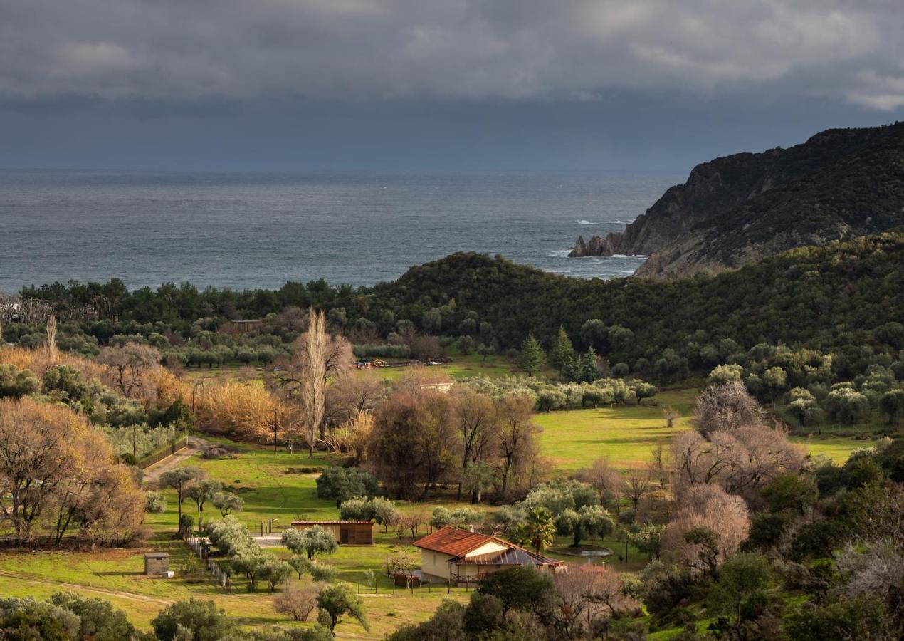 Villa Tsitreli Sykiá Eksteriør bilde